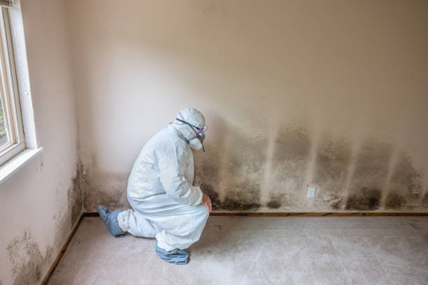 Forensic Mold Investigation in Montgomery, GA